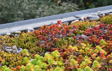 the cost of Kemsley green roof installation